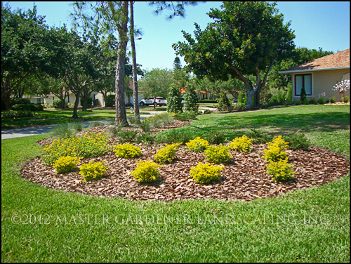War on Weeds: Part 1 “Weeds Happen”